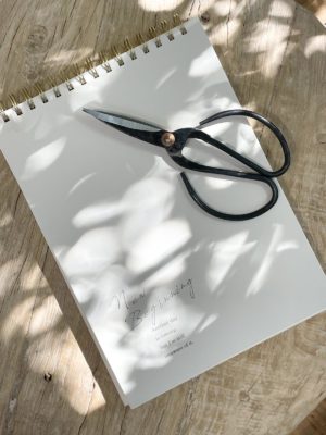 מחברת ספירלה התחלות חדשות